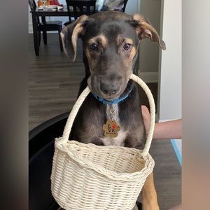 Meet your Posher, Kylie